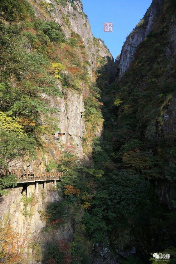 南方公园真理之杖